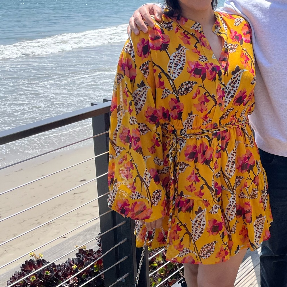 ALC Printed Dress